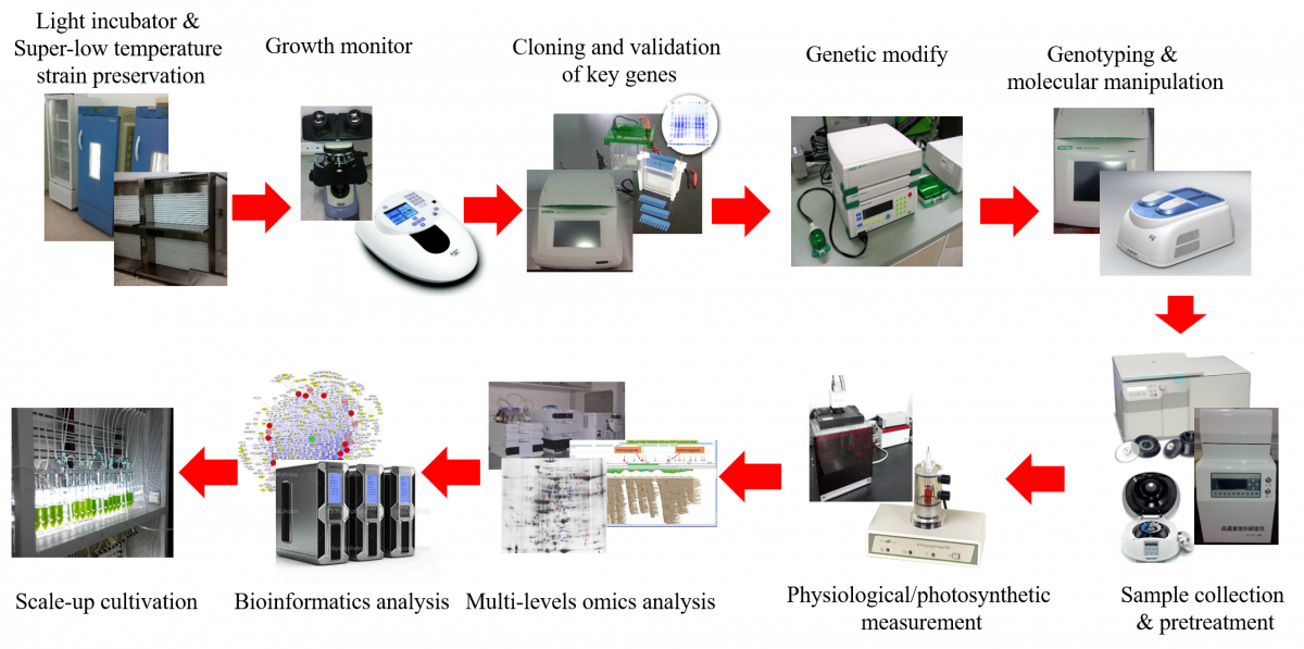 Lab facilities Algal Bioactives & Bioproducts
